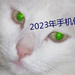 2023年手(shǒu)机伦理