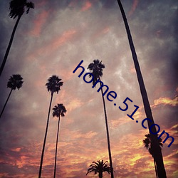 home.51.com