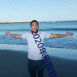 2020年(年)网聊软(軟)件