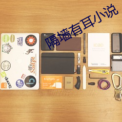 隔墙(qiáng)有耳小说
