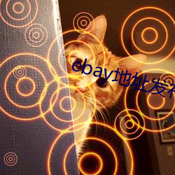 ebay地址发布