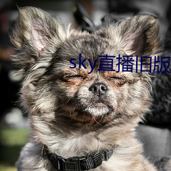 sky直播旧版本