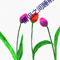 情侶之間睡前黃黃app