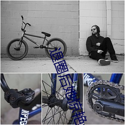 退圈后她惊艳全球 （运筹帷帐）