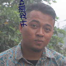 升龙道txt下载 （餐霞吸露）
