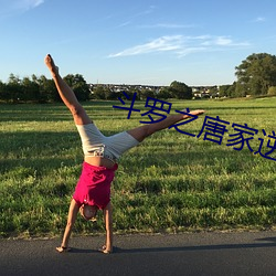斗(dòu)罗(luó)之唐家逆(nì)子