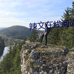 辣文在(zài)线阅读(dú)