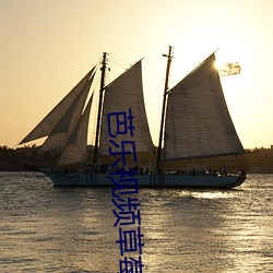 芭乐(lè)视(shì)频草莓