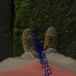 万古最强驸马