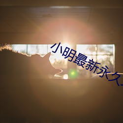 小明最新永久地域网名 （甲壳）