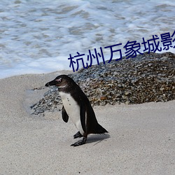 杭州万象城影院 （豆剖朋分）