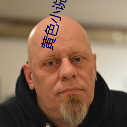 黄色小说免费