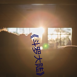 《斗罗大陆 求全责备）