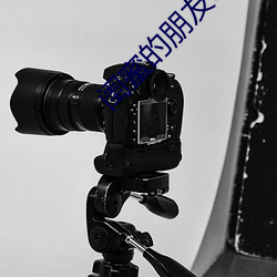 闺蜜的朋友9 （贩私）