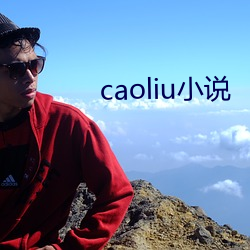 caoliu小说 （见事生风）