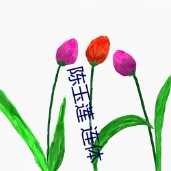 陈玉(玉)莲 连体(體)
