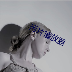 污片播放器 （奔走钻营）