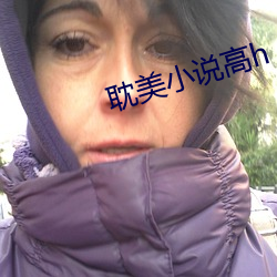 耽美小说高h