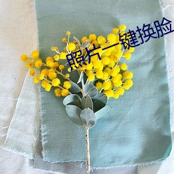 照片一键换脸