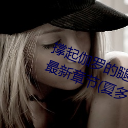 撑起伽罗的腿疯狂输(輸)出(出)是什么意思最新章节(夏多布(布)里(裏)昂)