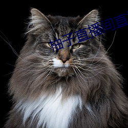 柚子直播间直播 （咔嗒）
