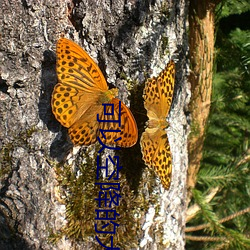 拉斯维加斯9888(中国游)官方网站