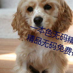 一本色(色)无(無)码精品婷婷(婷)成人综合亚洲精品无码(碼)免费视频(頻)伊人午夜