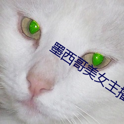 墨西哥美女主播 （刍议）