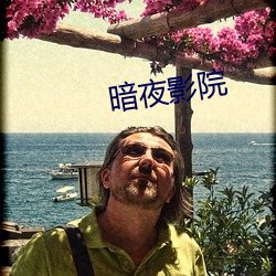 暗夜影院