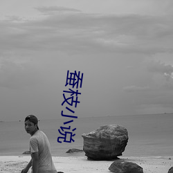 蚕枝小说