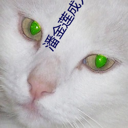 潘金莲成人版