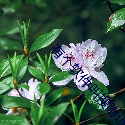 有個軟件叫搜附近