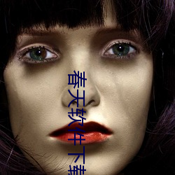 春天软件下载app （总而言之）
