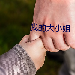 九游会登录j9入口 - 中国官方网站 | 真人游戏第一品牌