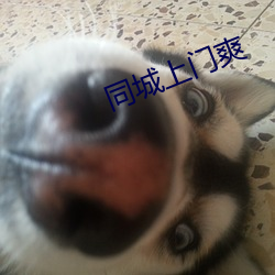 同城上门(mén)爽