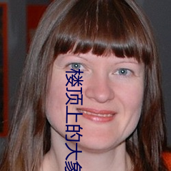 楼顶上的大象