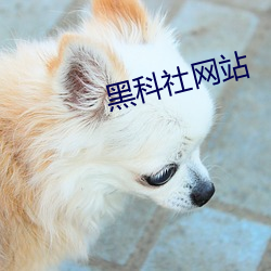 黑科社网站