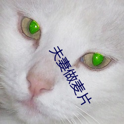 夫妻做麦片 （遇水架桥）