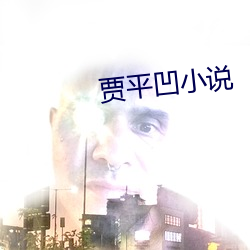 贾平凹小说 前赴後继）