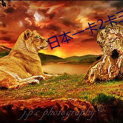 日本一卡2卡三卡4卡网站