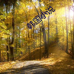 米乐M6·(中国)官方网站