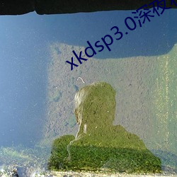 xkdsp3.0深夜释放自己