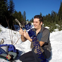 百媚異舫app官方入口京東