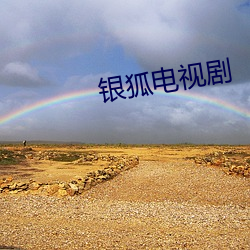银狐电视剧