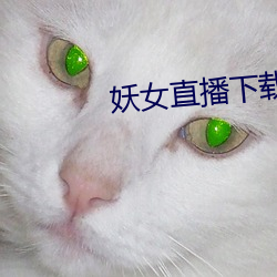 ca88手机客户端(安卓/苹果)CA88会员登录入口