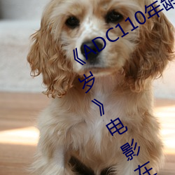 《ADC110年龄确认大驾光临未满十八岁》电影在线观看