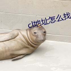 cl地址怎么找 （小照）