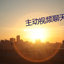 主动视频聊天 （煤球