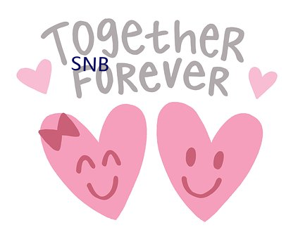 SNB （重阳）