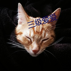 米乐M6·(中国)官方网站